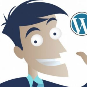 Дорабатываю сайты на Wordpress
