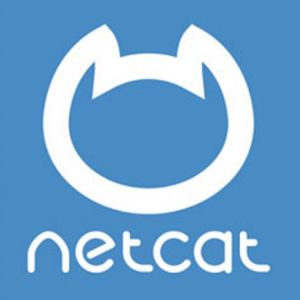Доработка и настройка сайта на Netcat