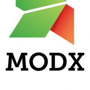 Помогу с сайтом на modx evo