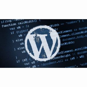Разразботка Wordpress