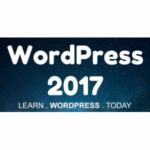 Мощный курс по созданию сайтов на  WordPress с прибылью от 1000$ в месяц