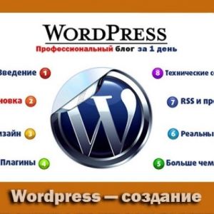 Установлю на Ваш сайт любой плагин ВордПресс