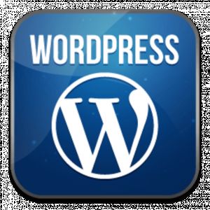 Установка и настройка сайта/блога на Wordpress