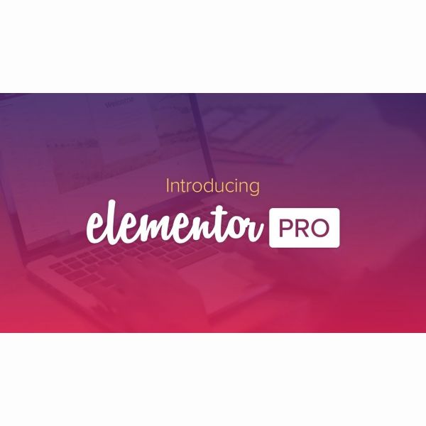 Плагин ELEMENTOR PRO для Wordpress