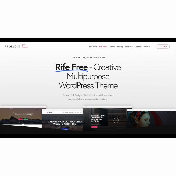 Тема Rife PRO PRO для Wordpress