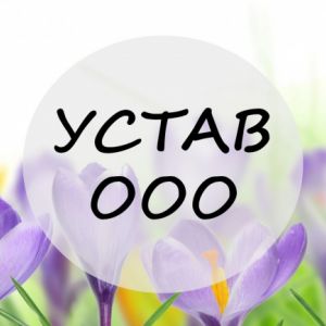 Составлю Устав ООО