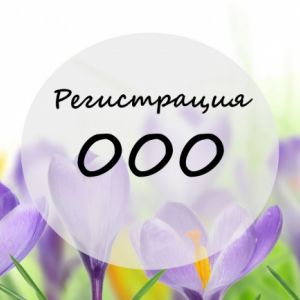 Заполню заявление на регистрацию ООО