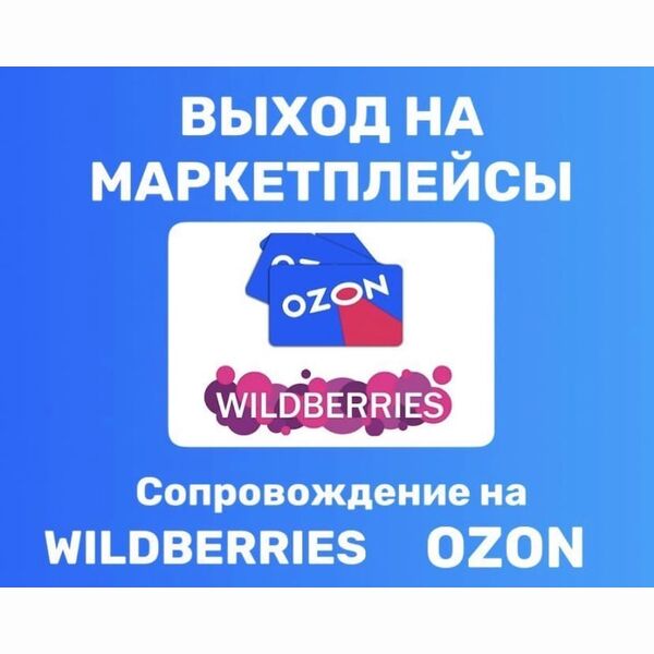 Выход и сопровождение на Wildberries Ozon