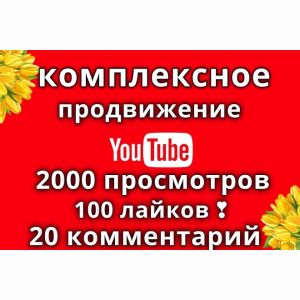 Комплексное продвижение Youtube, просмотры, лайки, комментарии