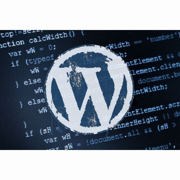 Сделаю сайт или интернет магазин на CMS WordPress