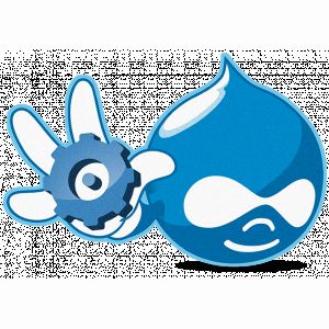 Создание и разработка сайтов на основе cms Drupal