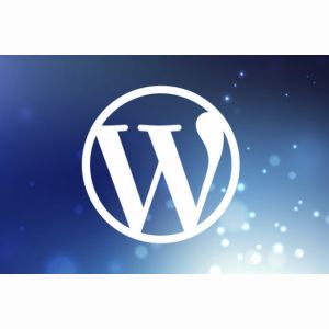 Доработаю, Исправлю, Настрою сайт на WordPress